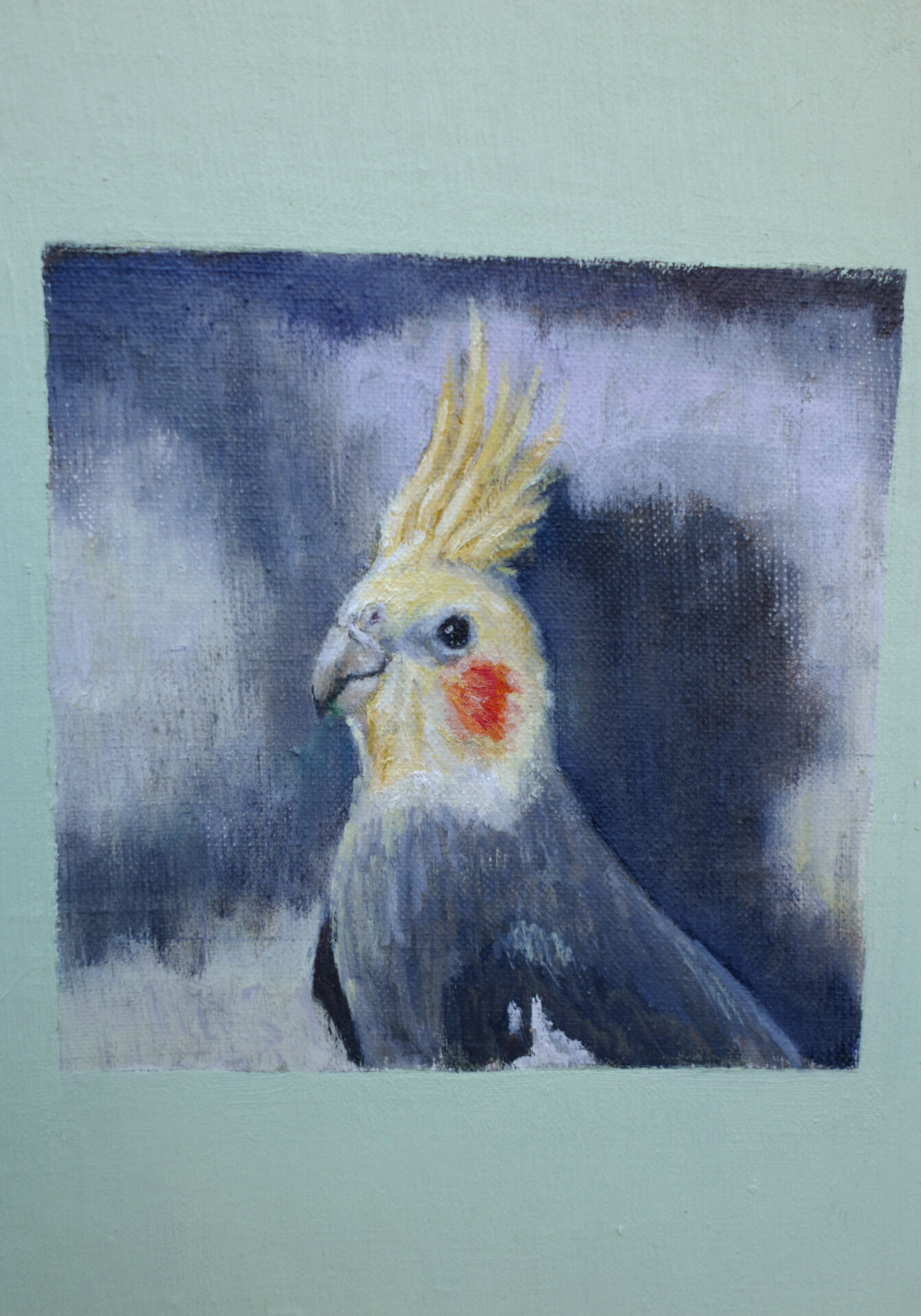 cockatiel2