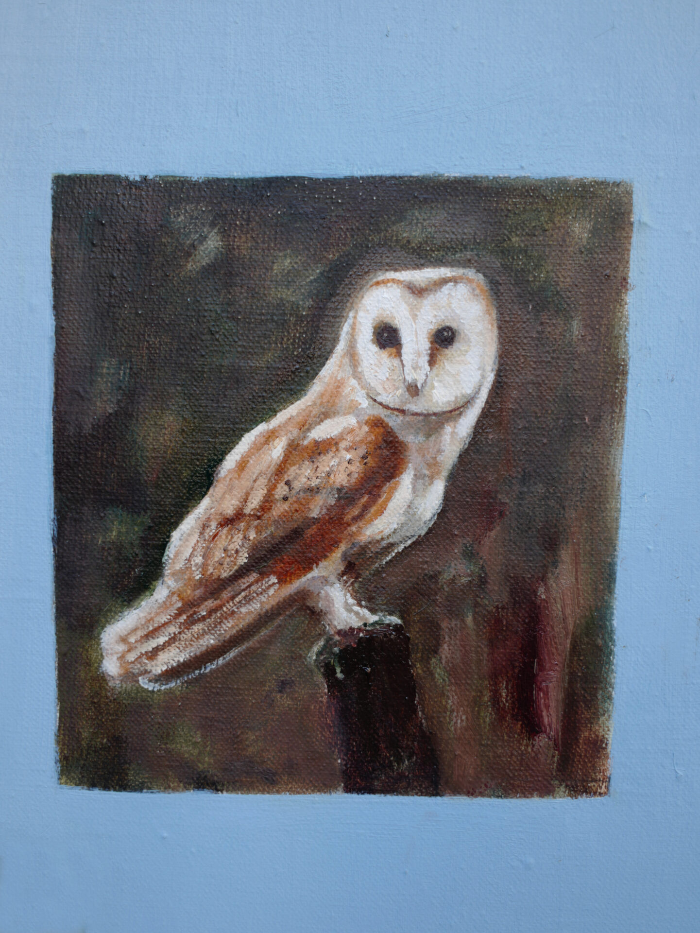 owl2